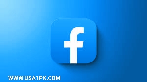 Facebook – Social Networking Giant