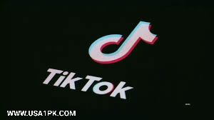 TikTok – The Viral Video Sensation