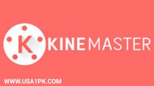 KineMaster 