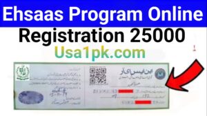 ehsaas program online registration 2024